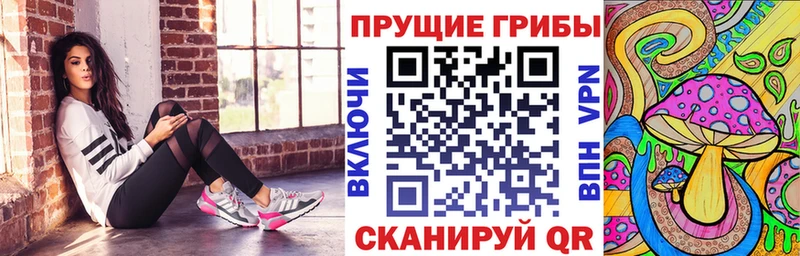 Галлюциногенные грибы прущие грибы  цены   Сунжа 